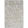 Coral Rug 2252