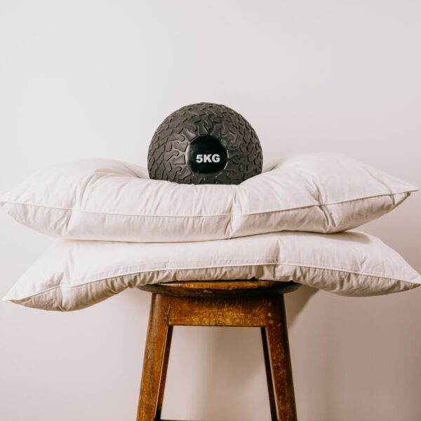 5* Hotel Duck Feather and Down Pillow Pair