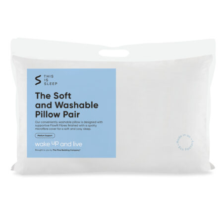 Soft and Washable Pillow Pair