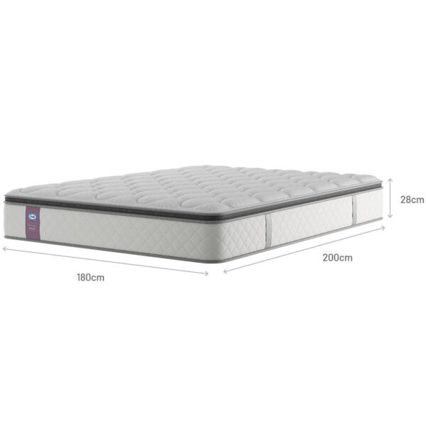 Super King Oxford Divan Set/Mattress
