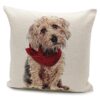 peggy-wilkins-rascal-dog-cushion Rascal Dog Cushion