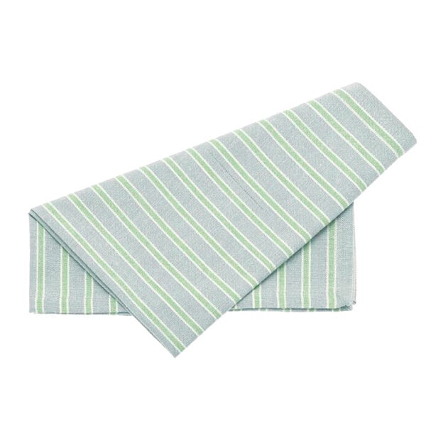 Carousel Stripe Napkin