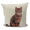 Amber Cat Cushion